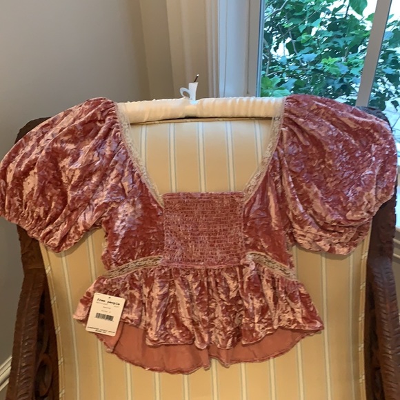 FREE PEOPLE VELVET AND LACE  CROPPED TOP IN MAUVE - Picture 12 of 16